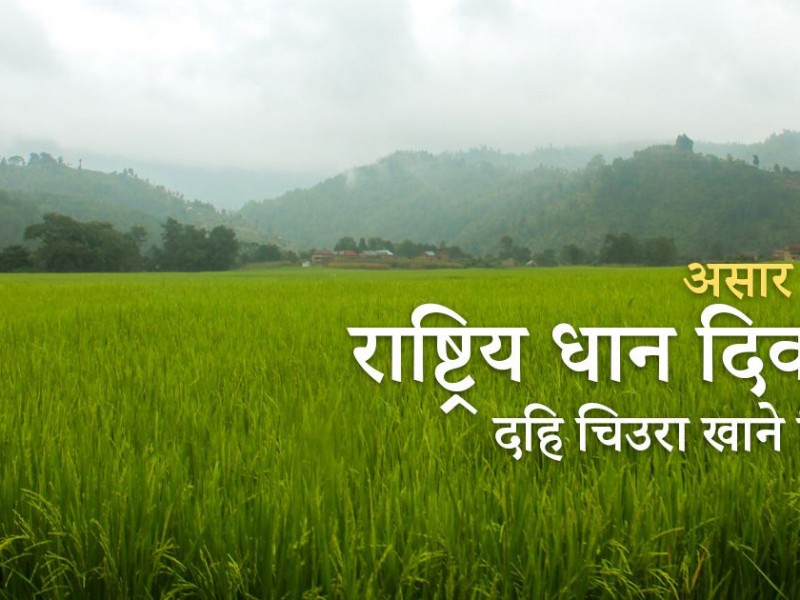 रुकुम पश्चिम सहित कर्णालीका नौं जिल्लामा आज सार्वजनिक बिदा 